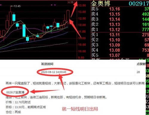 002736明日走势，该如何操作