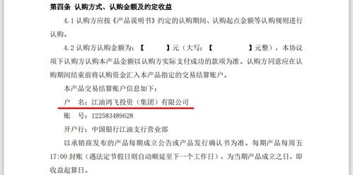 公司股东给公司账户打入十万作为流动资金，应该计入其他应付款还是实收资本呢？