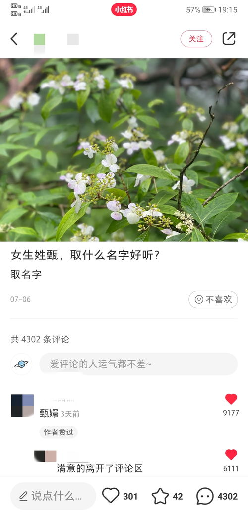 姓甄,取什么名字 