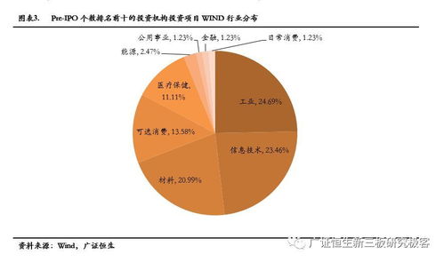 股票首发过会是什么意思