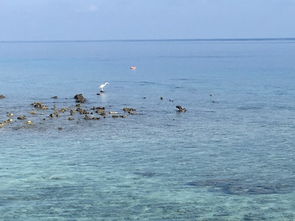 马尔代夫库拉玛提岛海洋中的瑰宝所在之处