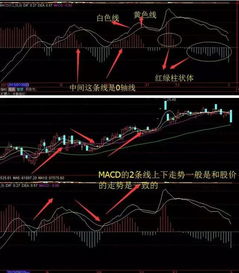 移动平均线与MACD什么关系？金叉和死叉说的是移动平均线还是MACD？