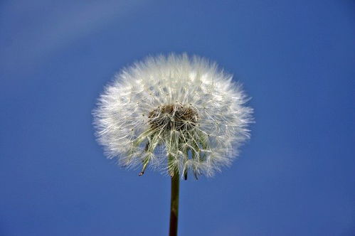 4月,桃花逆袭, 甜蜜再现,3星座真情复合,相爱相依不分离