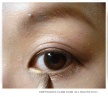 HERA 2010 秋季限定 蕾丝眼影盘 树叶型眼影画法