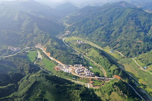 广西 走好生态脱贫路 让荒山披绿穷岭生金