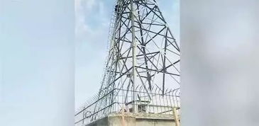 上海 5名中学生徒手爬上30米高的信号塔,竟是为了做这事