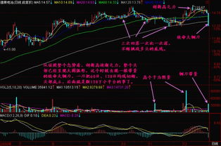 股市技术知识 什么是选股