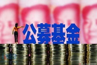 中国的公募基金成立是哪一年