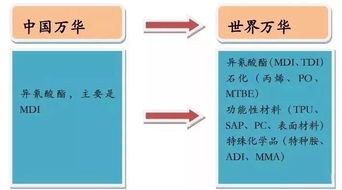 你心目中的万华化学是怎样的