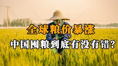 全球粮价暴涨,彭博社再出奇怪言论,中国囤粮到底有没有必要 