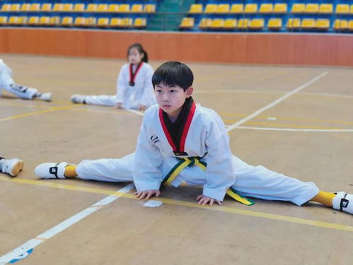 123人跆拳道顺利晋级 选择新津为明学校,就是选择优秀