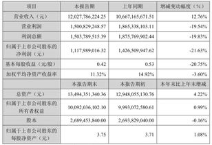 森马服饰财务分析毕业论文