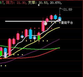 000655什么时间能突破24元？