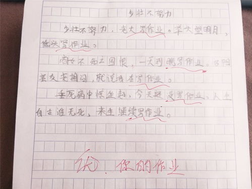 少壮不努力何以成大器作文