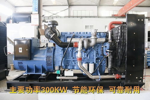 柴油发电机组300kw