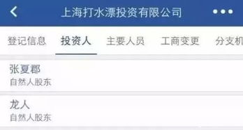 王思聪林更新合伙新开了家公司,公司名少女心爆棚