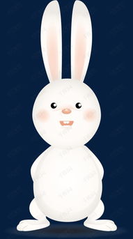 卡通可爱小白兔素材图片免费下载 高清psd 千库网 图片编号8535345 