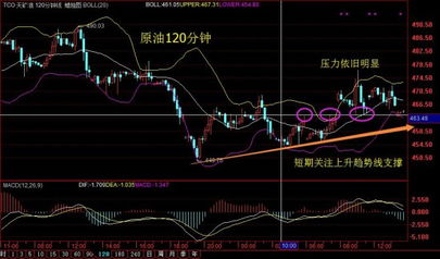 听了八威金银的直播，是想了解贵金属，里面常说的做空做多，追涨和杀跌分别是什么意思呢？