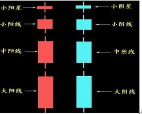 怎样炒股？我是新手，要具体细节