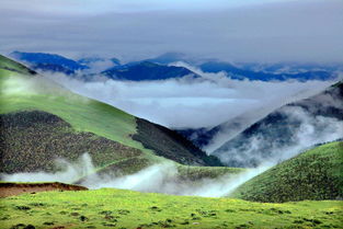 高山多雾怎么取名好,形容山有雾风景优美的成语？