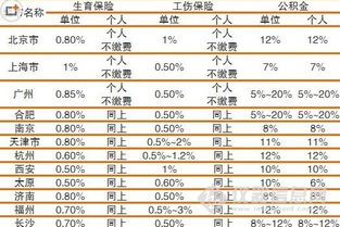 五险一金个人与公司缴纳比例是多少(武汉市大病医疗保险缴纳)