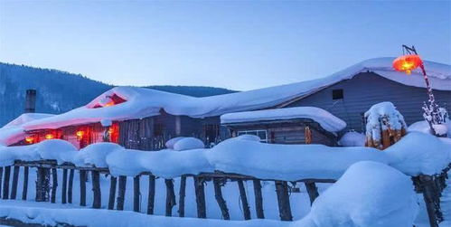 雪乡已经 凉 了 游客发现新雪景,取名为 雪村 ,物价很亲民