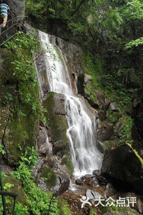 藏龙百瀑风景区 藏龙瀑布景区3图片 安吉县周边游 