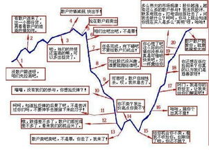 如何区分散户与庄家的心理特征？