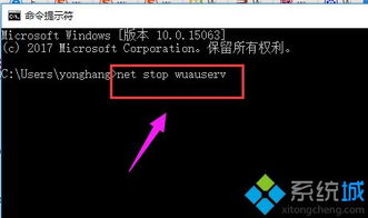 win10系统physx安装失败