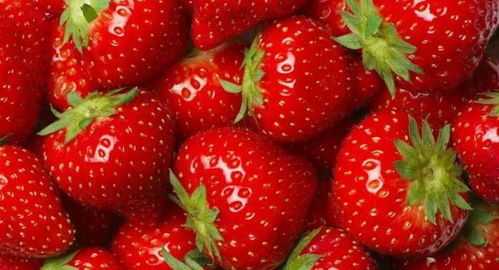 新鲜上市的草莓,肾病患者能吃吗 