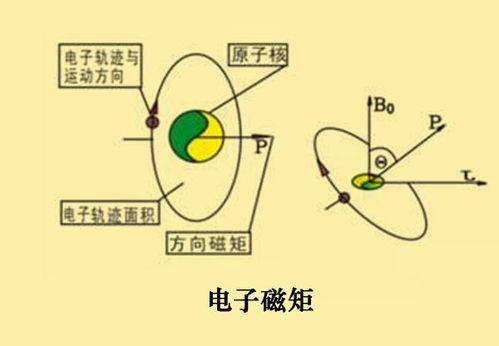 为什么磁铁可以吸引铁钴镍而不能吸引铜铝