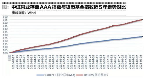 存单指数基金会亏损吗