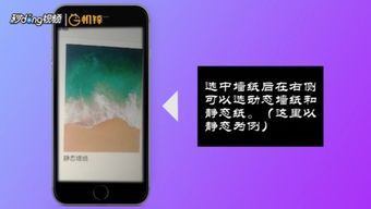 ipad怎么设置壁纸