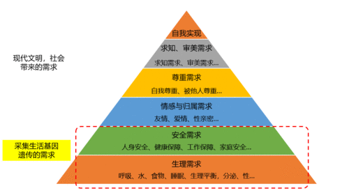 社交小游戏是怎样火起来的