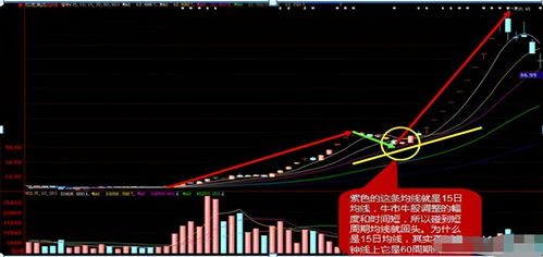 中国股市 开盘30分钟 牢记6种 开盘语言 ,做到开盘知涨跌