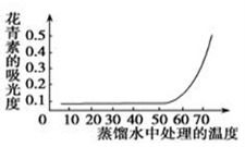 从细胞知识