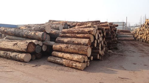 中国最牛木材帮,占据全国木材市场70 的份额,把控整个木业市场