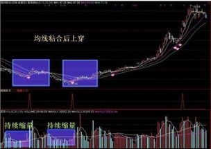 均线粘合什么情况下上涨概率最大