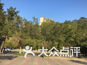 阳台山森林公园停车场收费吗(深圳的公园停车场都免费吗)