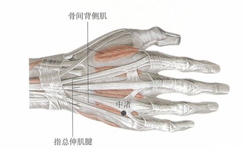 通背奇手.pdf