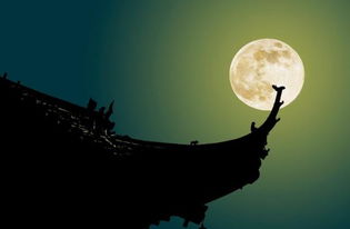 苏轼夜里泛舟西湖,于月光下写出一首词作,景色如画美得令人心醉