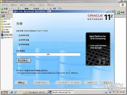 oracle 11g快捷版 绿色最新版