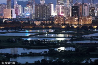 高楼平地起 从香港看深圳 组图 