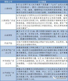 金融监管总局：车险赔付目标—月底前超过九成预赔额