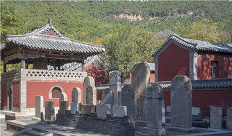 一股青流 隐于闹市 千年古刹 济南灵岩寺门票 自动出票