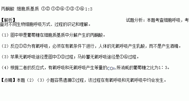 生物体内葡萄糖分解代谢过程的图解如下.据图回答下列问题 1 图中甲是 .其产生的部位是 . 2 反应①②③④中.必须在有氧条件下进行的是 .可在人体细胞中进行的是 