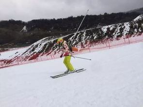 太子岭滑雪场海拔高度多少米(太子岭滑雪停车场怎么免费的简单介绍)