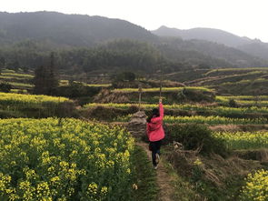 找一个周末,寻找梦中油菜花田