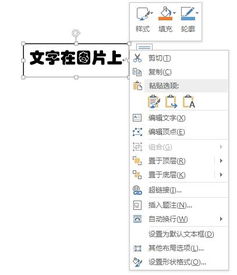 怎样在word文档的图片上面添加文字 