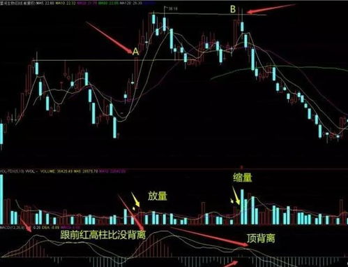 如何把成交量 MACD VR WR KDJ MA1—MA6等来综合分析走势?